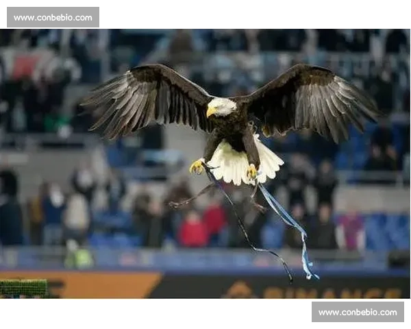 拉齐奥正式驱逐前训鹰师：露骨视频丑闻后终场法律拉锯战