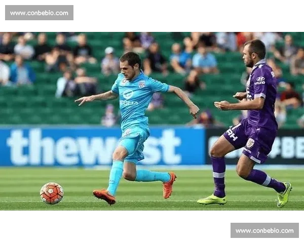 贝尔卡尼vs强敌巅峰对决全景解析与赛前走势前瞻核心看点战术博弈