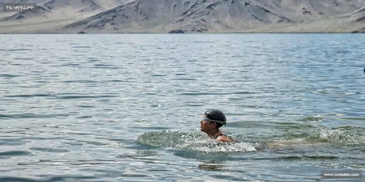 我们的品牌价值